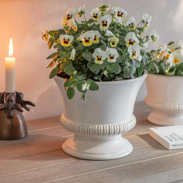 Hinton White Ceramic Planter