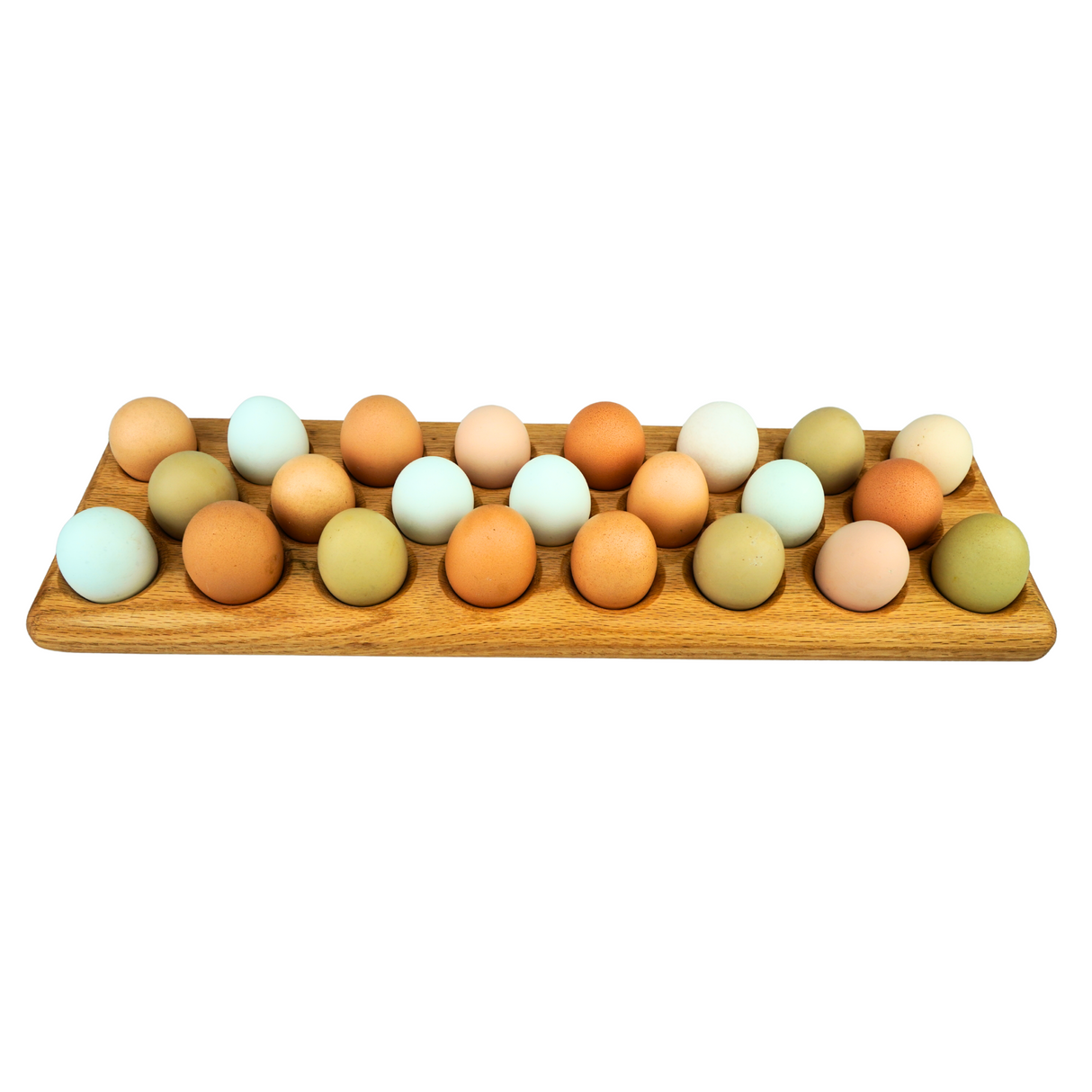 Egg Tray (23)