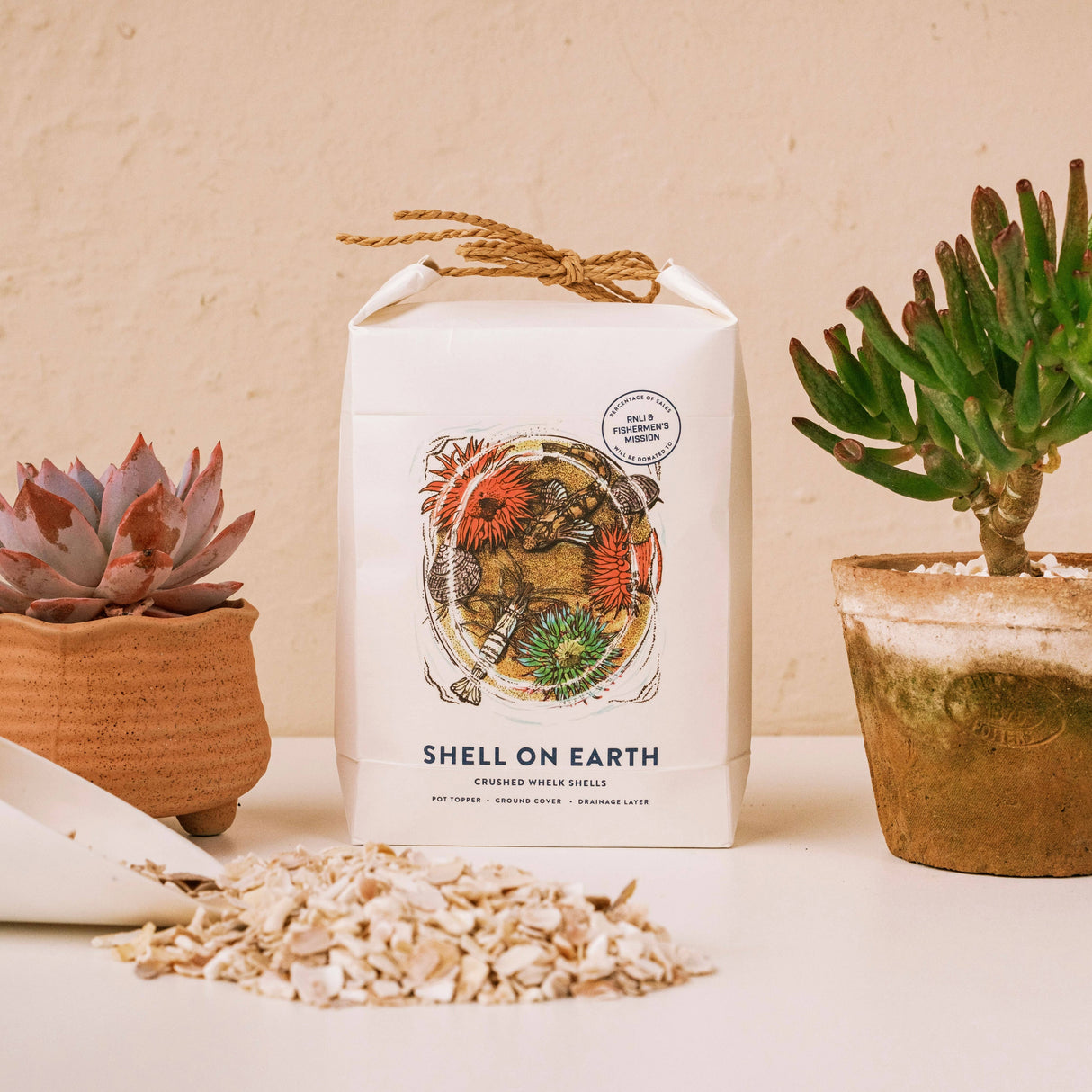 Crushed Whelk Shells – Rockpool Limited Edition Decorative Shell Bag