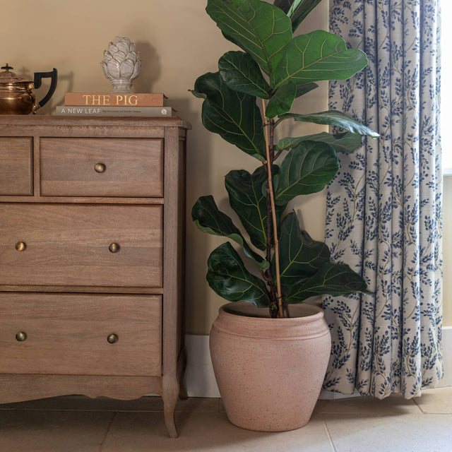 Rhea Terracotta Planter