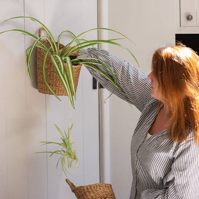 Kompo Seagrass Hanging Storage Baskets – Set of 2