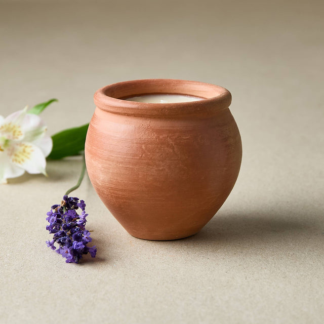 Terracotta pot with a white flower and purple lavender on a beige background