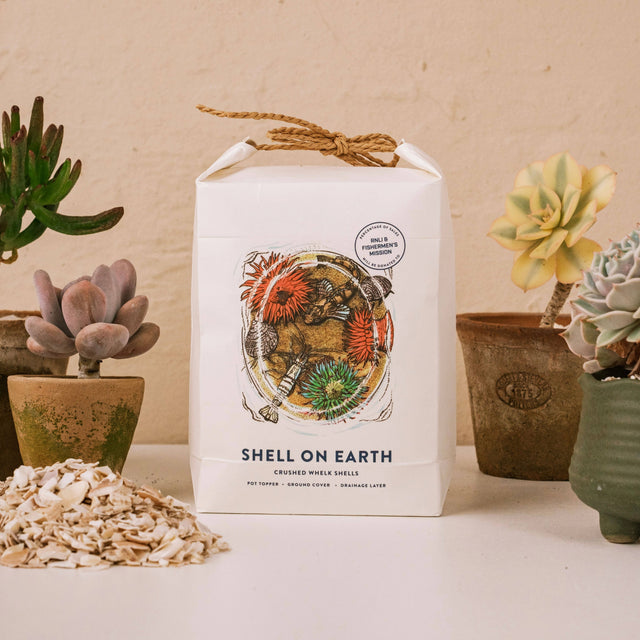 Crushed Whelk Shells – Rockpool Limited Edition Decorative Shell Bag