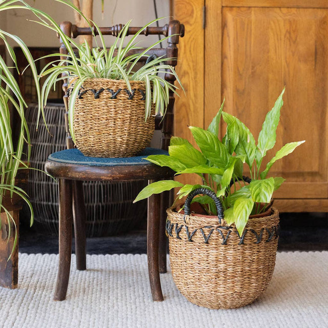 Haora Seagrass Storage Baskets with Tapered Base – Set of 3