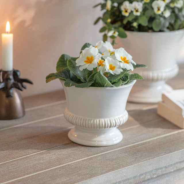 Hinton White Ceramic Planter