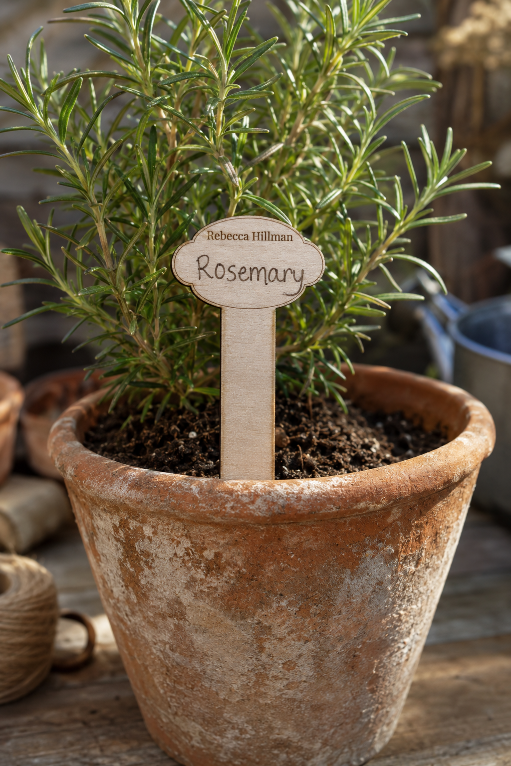 Personalised Write-On Basswood Plant Markers – Packs of 10, 20 or 50