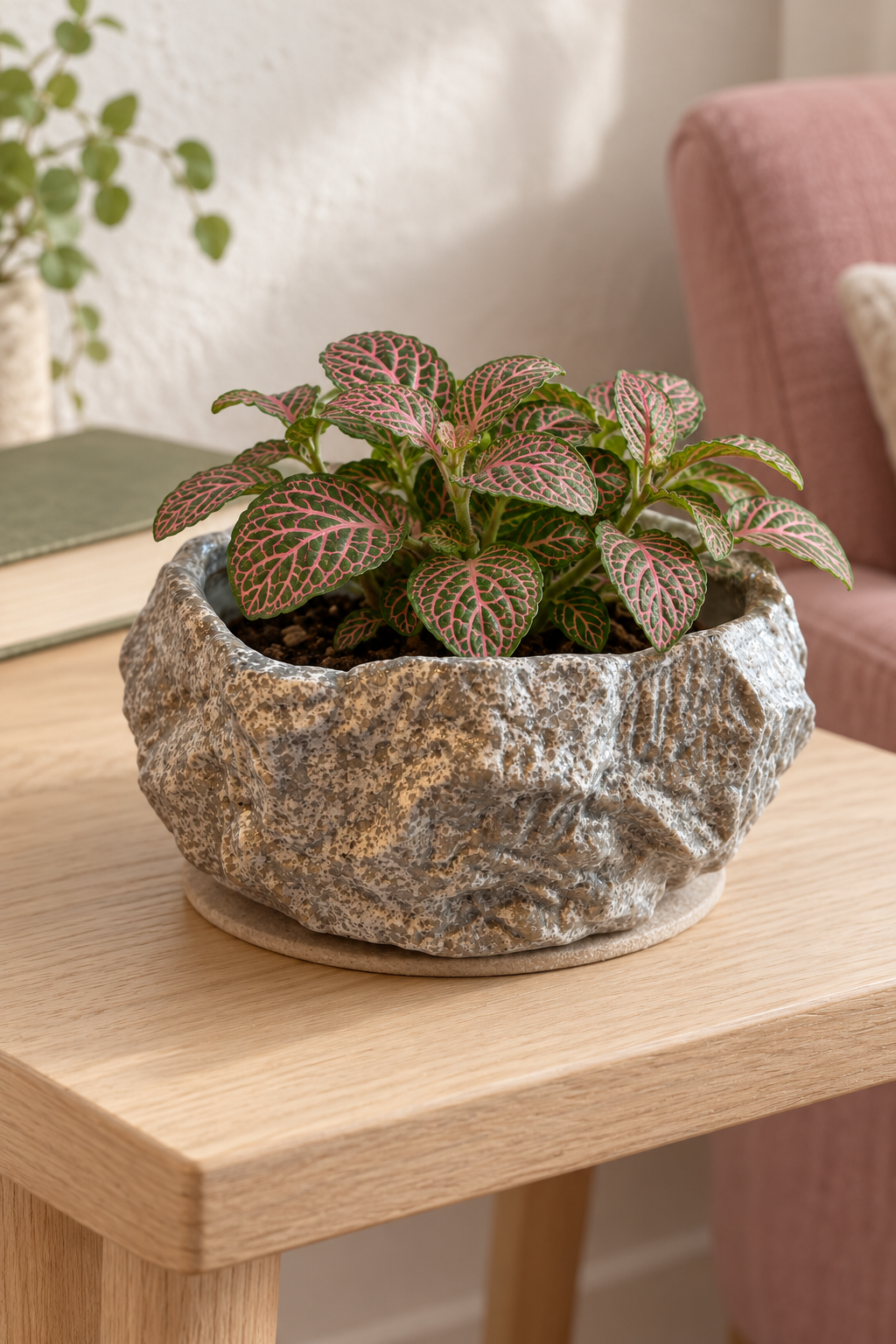 Pink-veined fittonia in a round rock effect ceramic plant pot on a pale wooden side table.