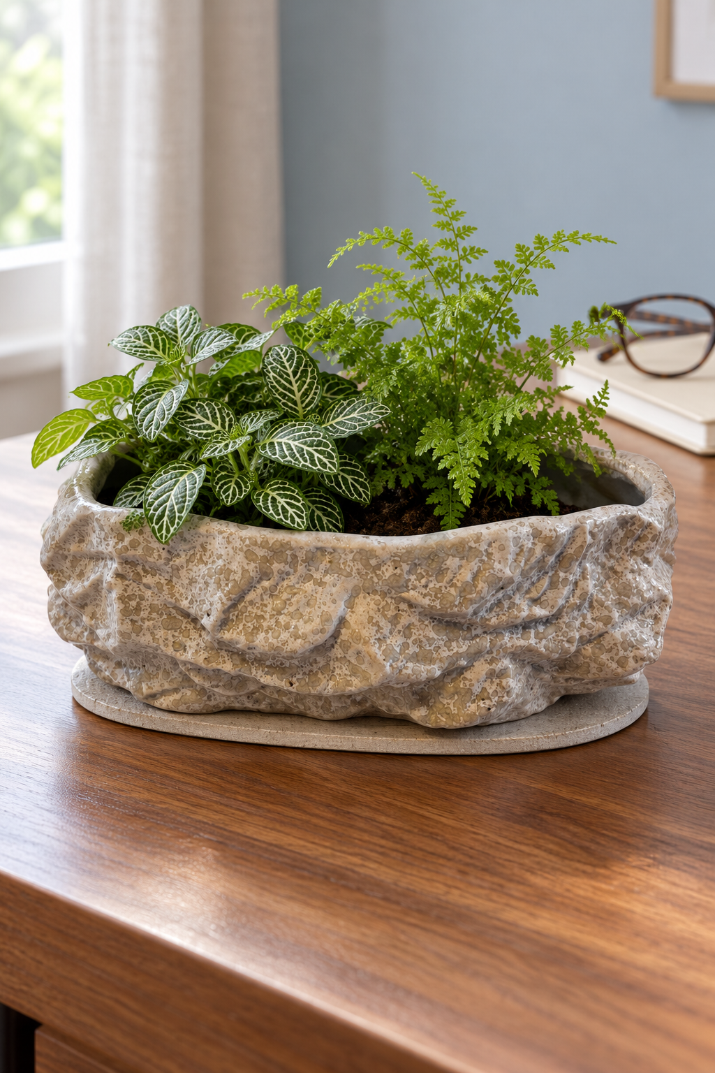 Small fern and white-veined fittonia in a rock effect ceramic planter on a wooden desk beside a window.