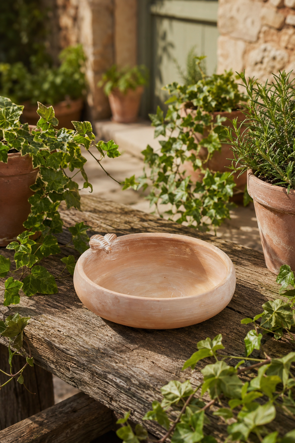 A shallow round terracotta Bir feeder or drinking bowl with a small side bee detail displayed on a rustic wooden table in a garden setting surrounded by potted green plants.