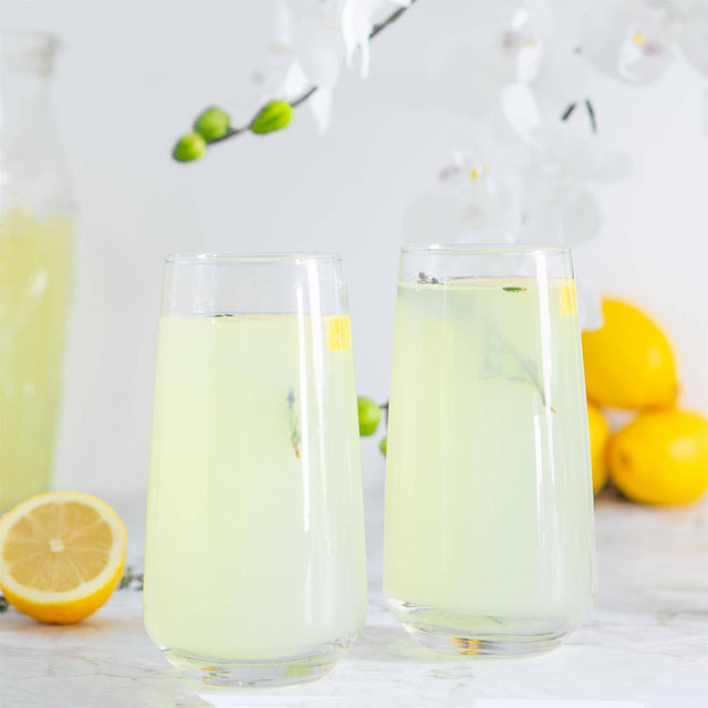 Nord Highball Glass – 480ml