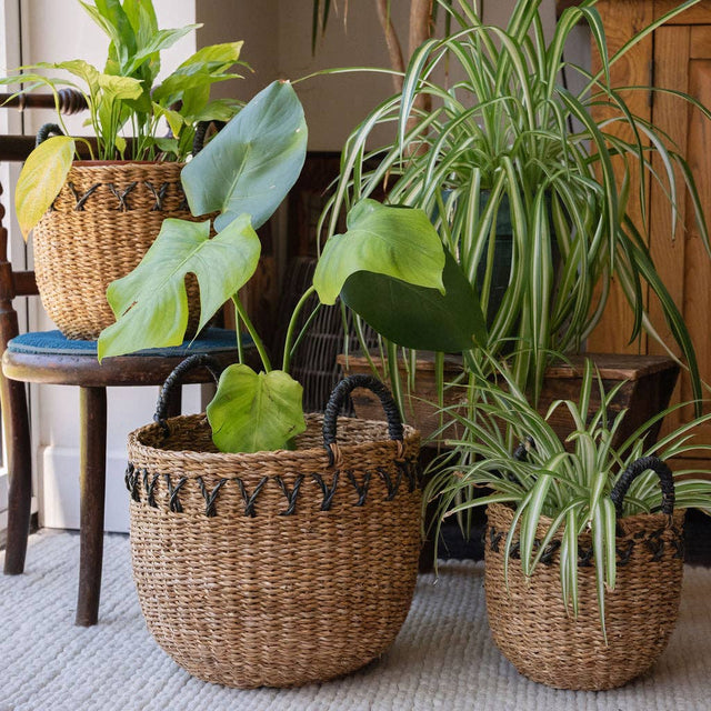 Haora Seagrass Storage Baskets with Tapered Base – Set of 3