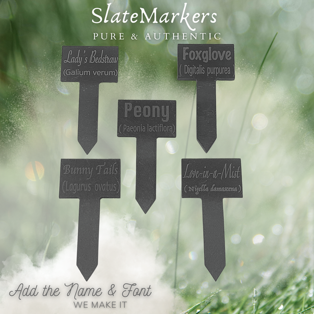 Engraved Slate Plant Markers | Garden & Allotment Labels UK