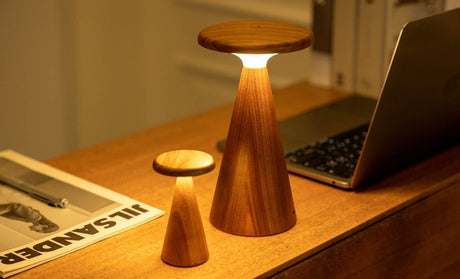 Walnut LED Table Lamp – Mini Rechargeable RGB Bedside Lamp (Sylva)