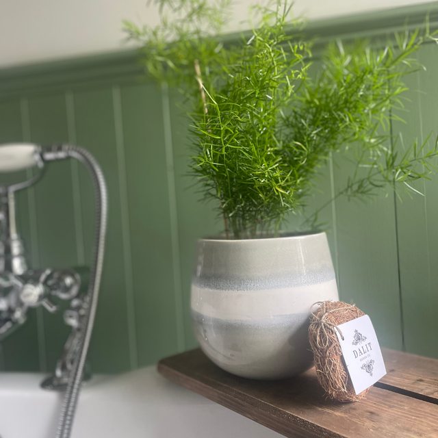 Vetiver Natural Root Bath Scrub | Natural Body Exfoliator