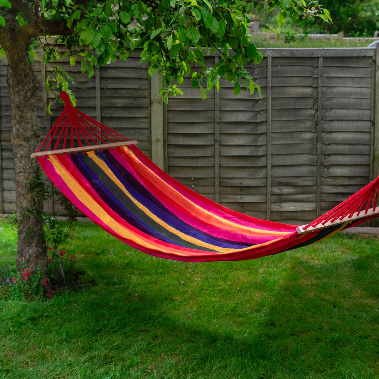 Colorful striped hammock hanging between two trees in a garden.