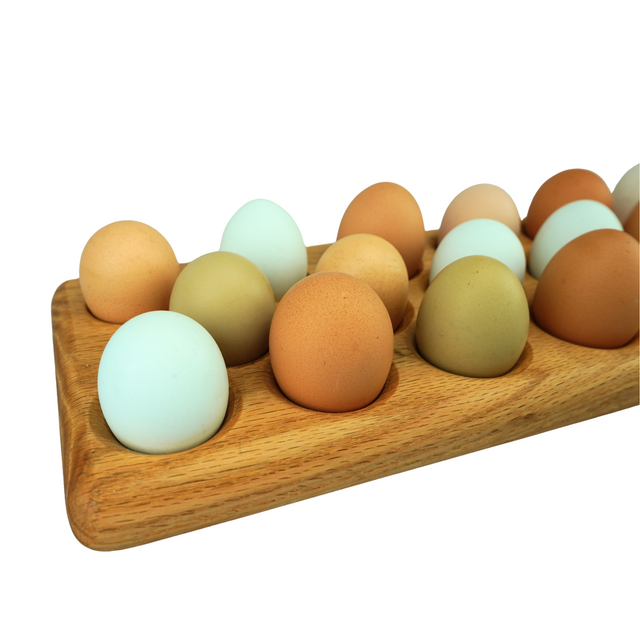Egg Tray (23)