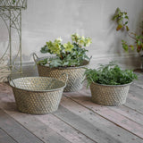 Hawthorn Honeycomb Planters – Set of 3