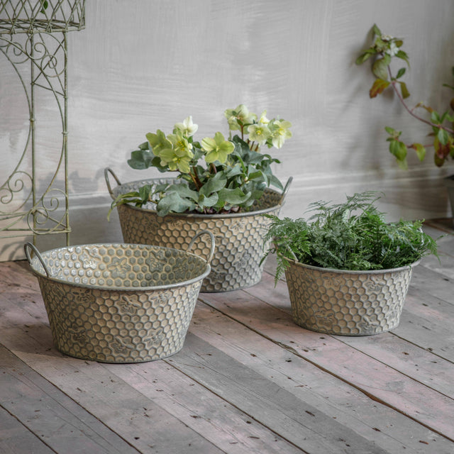 Hawthorn Honeycomb Planters – Set of 3