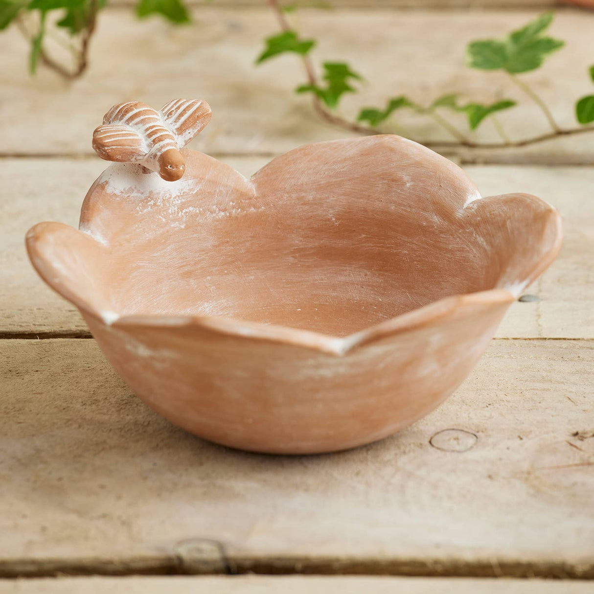 Terracotta bird bath on a wooden surface with plants in the background