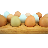 Egg Tray (23)