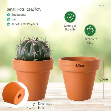 Terracotta clay small potted cactus on a light wooden surface with a soft green blurred background. The image includes text and icons explaining pot features: suitable for succulents, cacti, and art/craft projects; strong and durable; terracotta clay; drainage hole; dimensions marked 6.