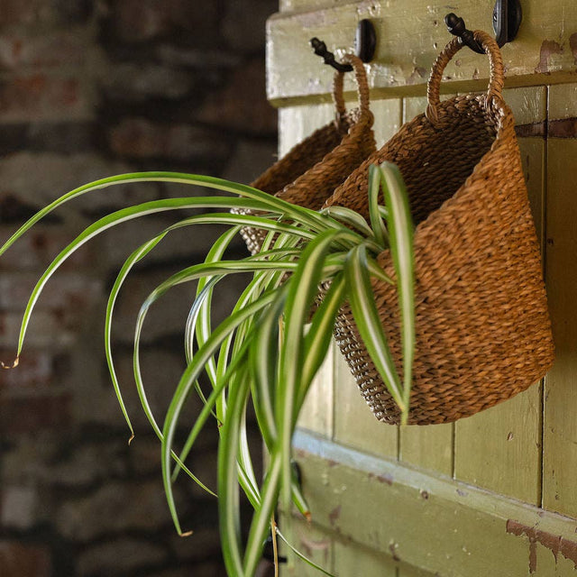Kompo Seagrass Hanging Storage Baskets – Set of 2