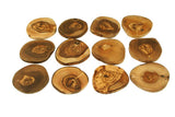 Set of wooden coasters with natural patterns on a white background