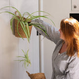 Kompo Seagrass Hanging Storage Baskets – Set of 2