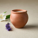 Terracotta pot with a white flower and purple lavender on a beige background