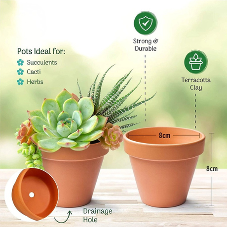 Terracotta clay pot shown on a light wood surface with a blurred green background. The image includes text and icons explaining suitability for succulents, cacti, and herbs, plus dimensions labeled 8cm wide and 8cm deep, and a circular inset showing the drainage hole.