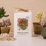 Crushed Whelk Shells – Rockpool Limited Edition Decorative Shell Bag
