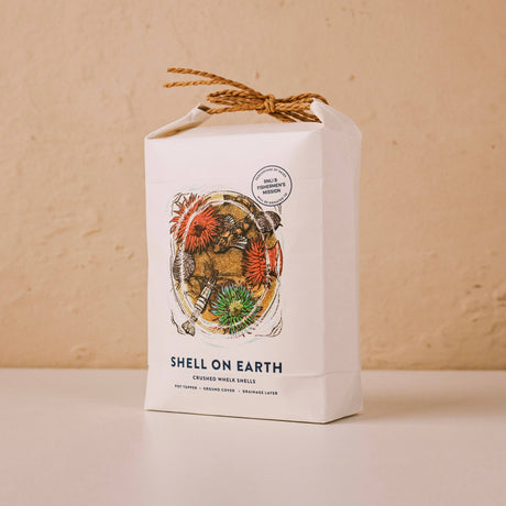Crushed Whelk Shells – Rockpool Limited Edition Decorative Shell Bag