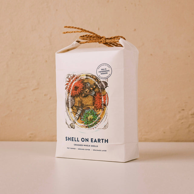 Crushed Whelk Shells – Rockpool Limited Edition Decorative Shell Bag