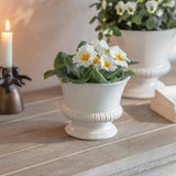 Hinton White Ceramic Planter