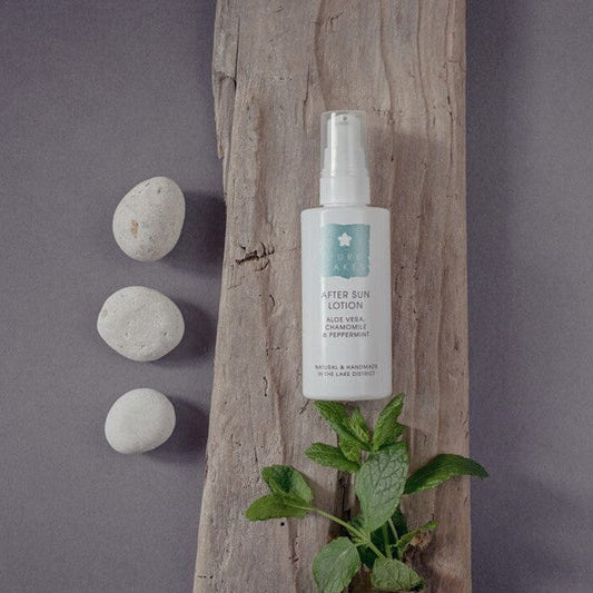 Lotion bottle on a wooden board with stones and a plant