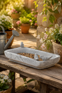 Decorative stone bird bath on a wooden table with garden setting