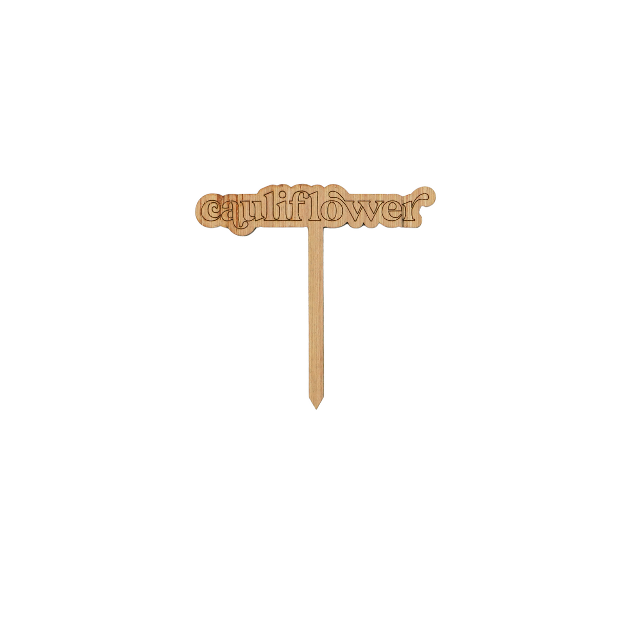 Wooden Garden Markers: Bubble Edition (set of 29)