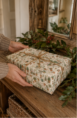 Illustrated Christmas wrapping paper featuring glasshouses, potted fir trees, holly, ivy, robins, terracotta pots, watering cans, hand forks, twine, seed trays, cyclamen and citrus trees. The pencil-sketch design uses muted green, terracotta, berry red, orange and pink on a warm ivory background.
