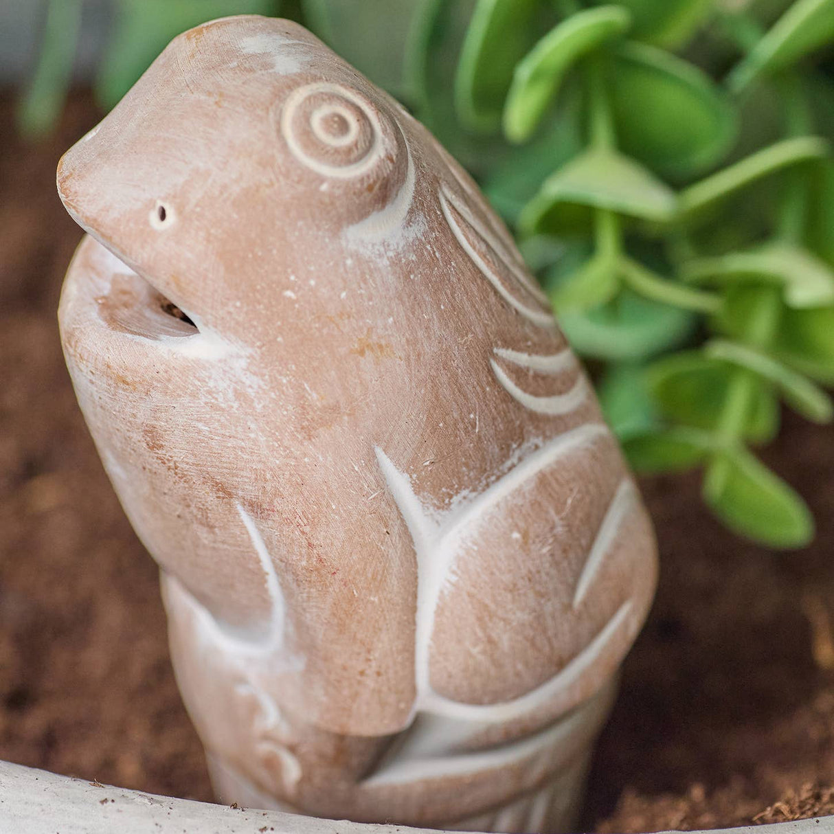 Terracotta frog watering spike 