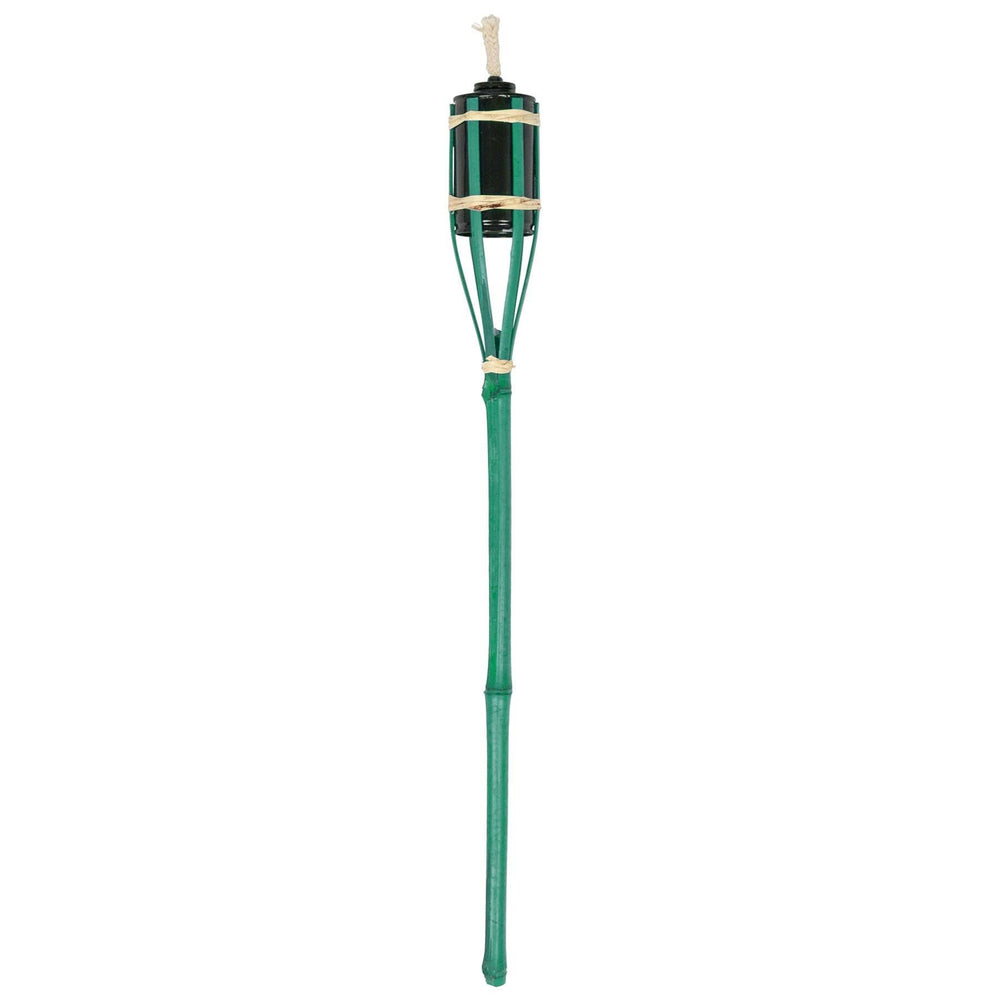 Green torch with a white background