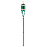 Green torch with a white background