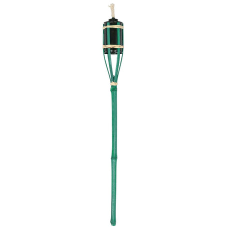 Green torch with a white background