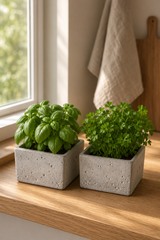 Two square concrete planters holding fresh green herbs, placed on a wooden windowsill with natural light and a kitchen towel in the background.