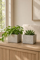 Two square concrete planters with a speckled finish, one holding a trailing green houseplant and the other a succulent, displayed on a light wood console table in a bright, modern room.