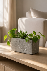 A rectangular concrete planter holding green succulent and trailing houseplant leaves, placed on a light wood table in a softly lit living room with a sofa in the background.