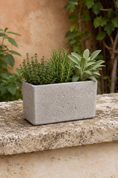 A rectangular concrete planter with a speckled gray finish, containing green herbs like rosemary and sage, resting on a stone ledge with a warm beige wall and foliage in the background.