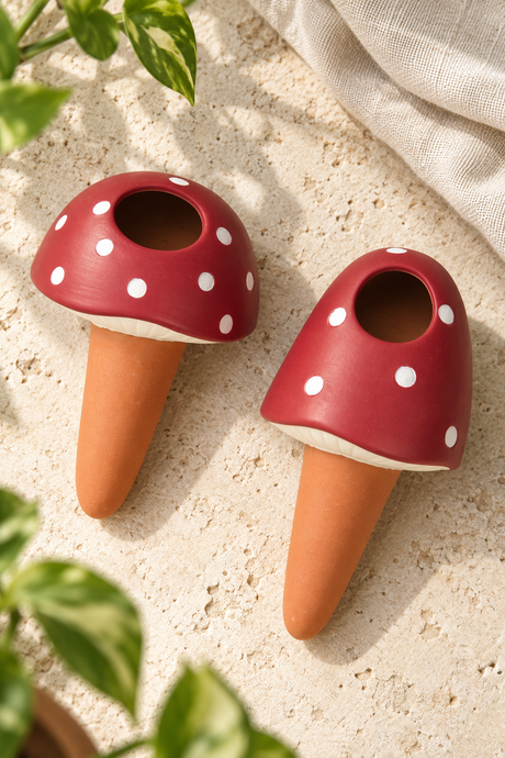 Set of two terracotta plant watering spikes with red mushroom caps, white spots and cream detailing. Includes one rounded and one taller mushroom design, each with an open filling hole and a tapered stem. Suitable for indoor pots and balcony planters. Presented in a windowed box with mushroom and leaf