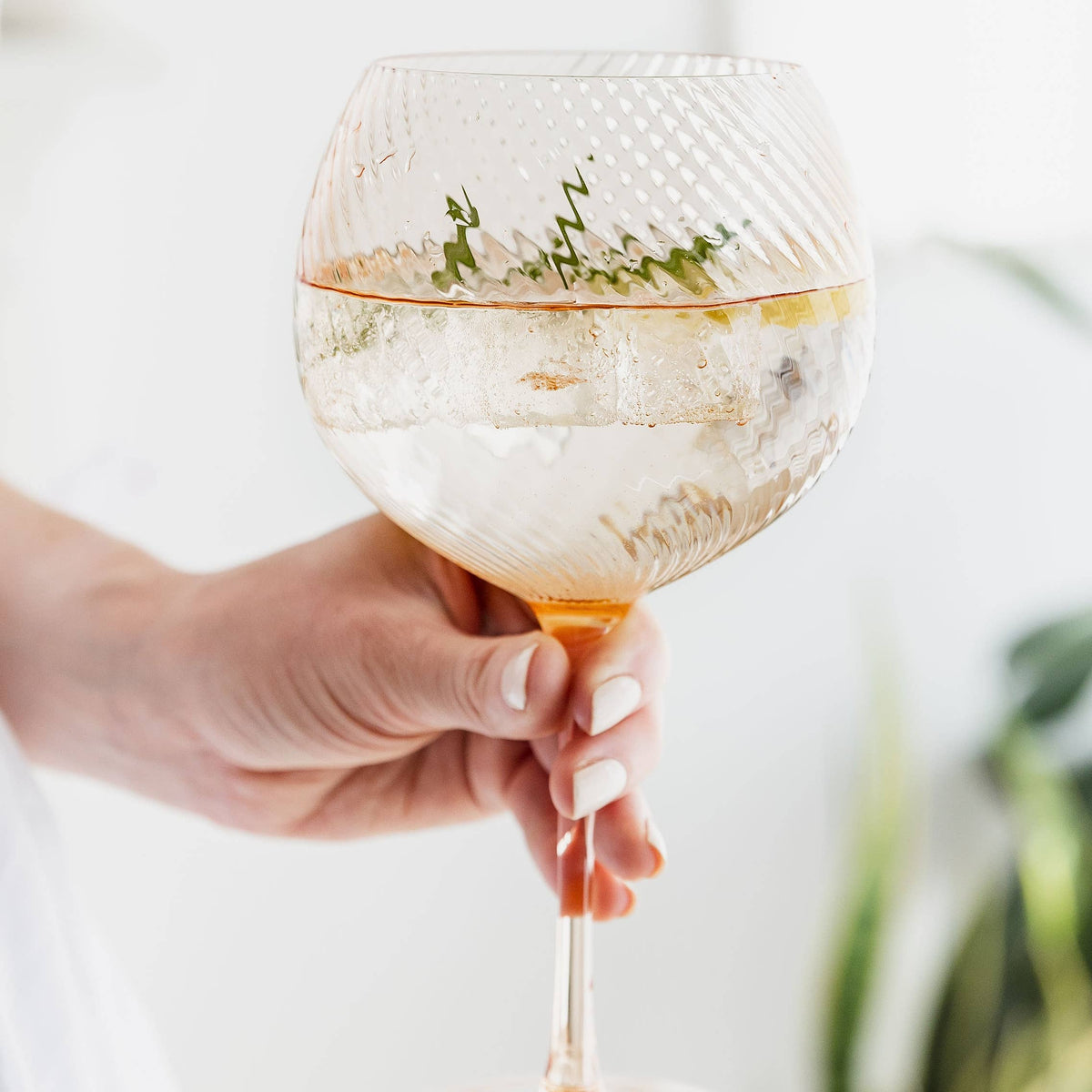 Hand holding a gin and tonic with ice and herbs against a light background