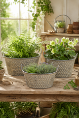 Hawthorn Honeycomb Planters – Set of 3