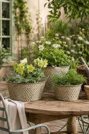 Hawthorn Honeycomb Planters – Set of 3